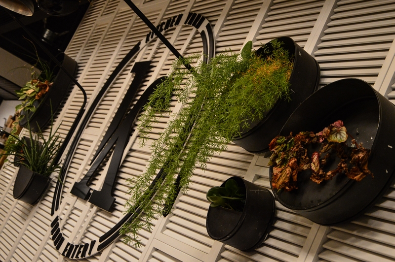 Kitchen Yard on Saturday Night